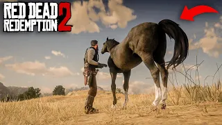 You'll Never Ride Arabian Horses If You Ride This N9 - RDR2