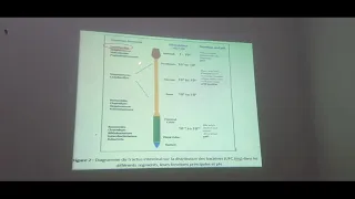 Partie 2. Eléments de microbiologie du tube digestif. Microbiologie de l'environnement.