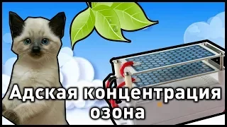 Влияние большой концентрации озона. Эксперименты.