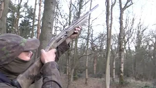 The Shooting Show – challenging pigeon roost shoot