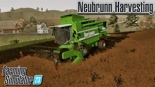 Canola Harvesting in Farming Simulator 23!