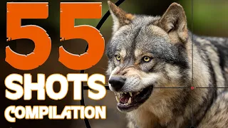 55 Hunting Shots Compilation  // Compilation de 55 tirs // 2022