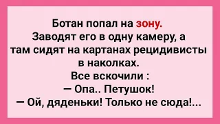 Ботан Попал на Зону! Анекдот Дня! Юмор! Смех! Позитив!