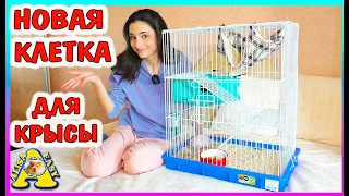 ПОДАРКИ  к Новому Году /  НОВАЯ КЛЕТКА для крысы / распаковка ЗООПОКУПКИ / Alisa Easy Pets