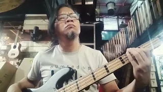 All I Want - Toad The Wet Sprocket (Bass Cover)