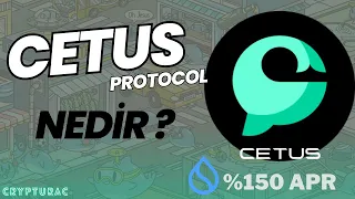 Cetus Protocol NEDİR?  | Sui Coinlere %130 FAİZ ORANI !! |