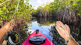 Fly Fishing The Everglades Backcountry | Hells Bay