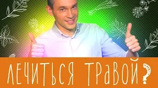 Попить травок - это действительно помогает?