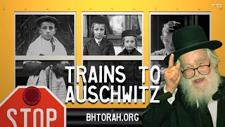 Rav Elazar Shach - Like The Train To Auschwitz