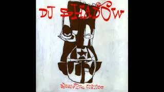 DJ Shadow - Preemptive Strike (full album)