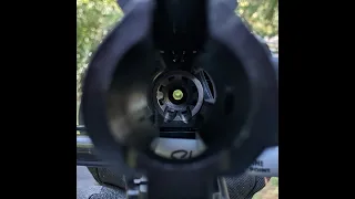 How to Boresight an AR Style Rifle