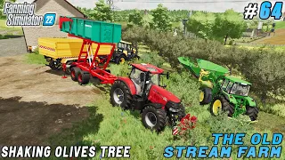 Shaking 79 olives tree, harvesting wood chips | The Old Stream Farm | Farming simulator 22 | ep #64