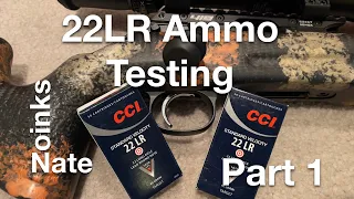 22LR Ammo Test Part 1: CCI Standard #czusa #22lr #targetshooting