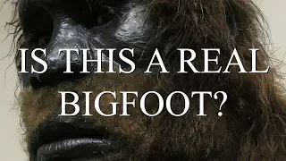 IS THIS A REAL BIGFOOT? (INCREDIBLE BIGFOOT FOOTAGE) - Mountain Beast Mysteries Episode 41.