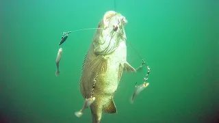 EPIC UNDERWATER STRIKES- UMBRELLA RIG VS BIG SM BASS