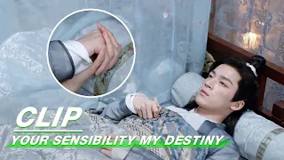 Clip: Qingcheng Holds Lin Chi's Hand To Sleep | Your Sensibility My Destiny EP03 | 公子倾城 | iQiyi