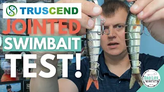 Truscend Jointed Swimbait Review