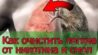 Вы сможете Легко Очистить Лёгкие от Никотина и Смол! Лучший способ