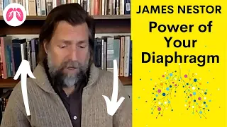 This is what the Diaphragm is for  | James Nestor Breath | TAKE A DEEP BREATH CLIPS