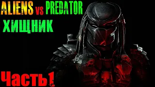 Aliens vs Predator 2010 (Чужие Против Хищника) Хищник Прохождение Часть 1