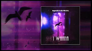 Agunda & DJ M.E.G - I wanna (Официальная премьера трека)