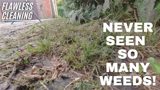 *INFESTED WITH WEEDS* - Satisfying Pressure Washing & Transformation!