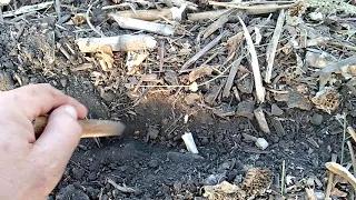 No-Till сіємо пшеницю