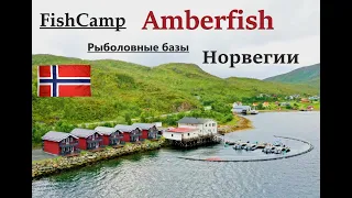 Рыбаловная база - Amberfish/ Рыболовный туризм в Норвегии. Цены на Жилье и Лодки!