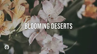 Blooming Deserts | Audio Reading | Our Daily Bread Devotional | May 9, 2024