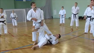 Meikyo Kata study with Shihan Dormenko Andrey 8 Dan ISKF