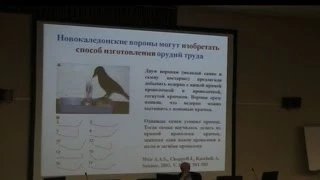 На пути к исследованию когнитивной эволюции - Редько Владимир