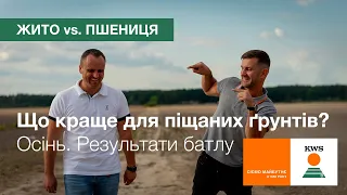 Жито чи пшениця: що краще для піщаних ґрунтів? Осінь. Підсумки батлу | КВС-УКРАЇНА