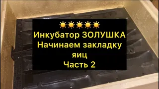 ☀️Начинаем инкубацию.Инкубатор Золушка