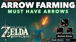 Arrows - Where to Find and Farm Various Powerful Arrows in Zelda Breath of the Wild