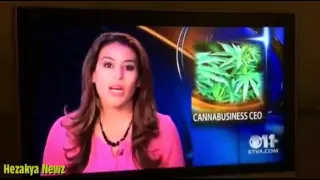 F*CK IT, I QUIT: KTVA Reporter QUITS On Air, REVEALS Herself As OWNER Of Alaska CANNABIS C