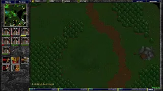 Warcraft 2 5.5.2024