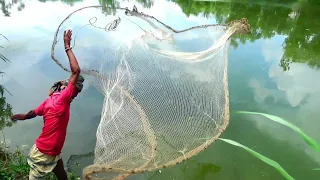 Best Net Fishing 2022