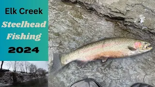 Steelhead Fishing Elk Creek 2024 (PA Steelhead)!
