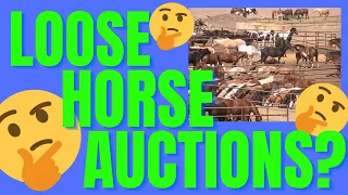 What the heck is a loose horse auction?