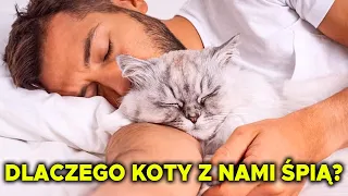 Dlaczego KOTY z nami śpią?