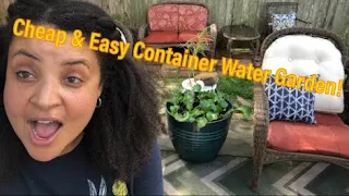 Cheap & Easy Container Water Garden🐠🐟🌱🍃