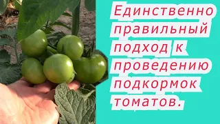 Не кормите томаты пока не посмотрите это видео!