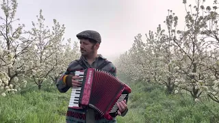 La dispute yann tiersen - live accordion cover gezegen yolcusu