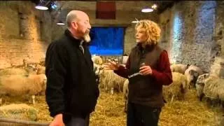 Lambing Live 2010 - Episode 2