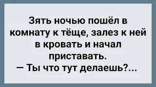 Зять Залез к Теще в Кровать! Сборник Свежих Анекдотов! Юмор!