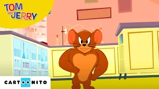 Tom and Jerry | Grappige momenten met Jerry seizoen 1, deel 2 | Cartoonito