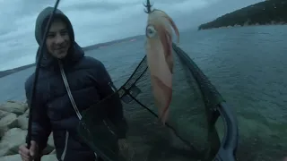 Lignjavanje od prikjučer i odma na kolutiće - squeedin catch and cook