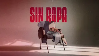 SIN ROPA - Branbel y Young Kalif (official visualizer)