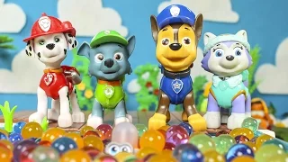 PAW PATROL Toys Episodes ❤️ Paw Patrol have fun in the ball pool