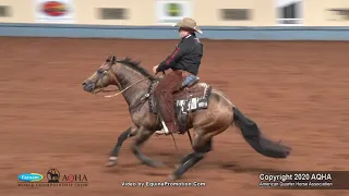 2020 AQHA Senior Working Cow Horse